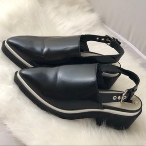 Pointy Toe Black Platform Mule Slingbacks